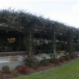 Quail Run Savannah
